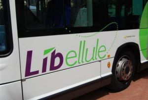 bus libelule035.JPG