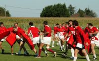 rugby entrainement.jpg