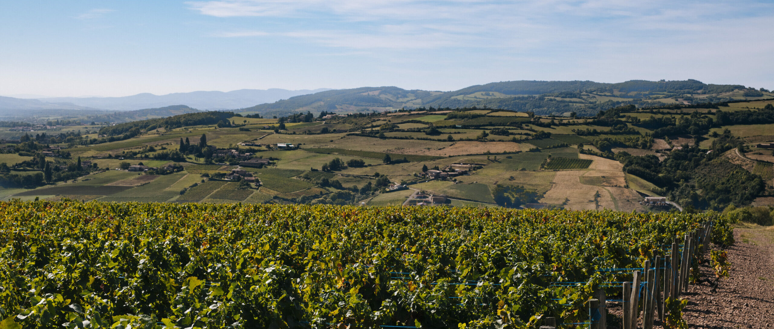 Vue sur des montagne