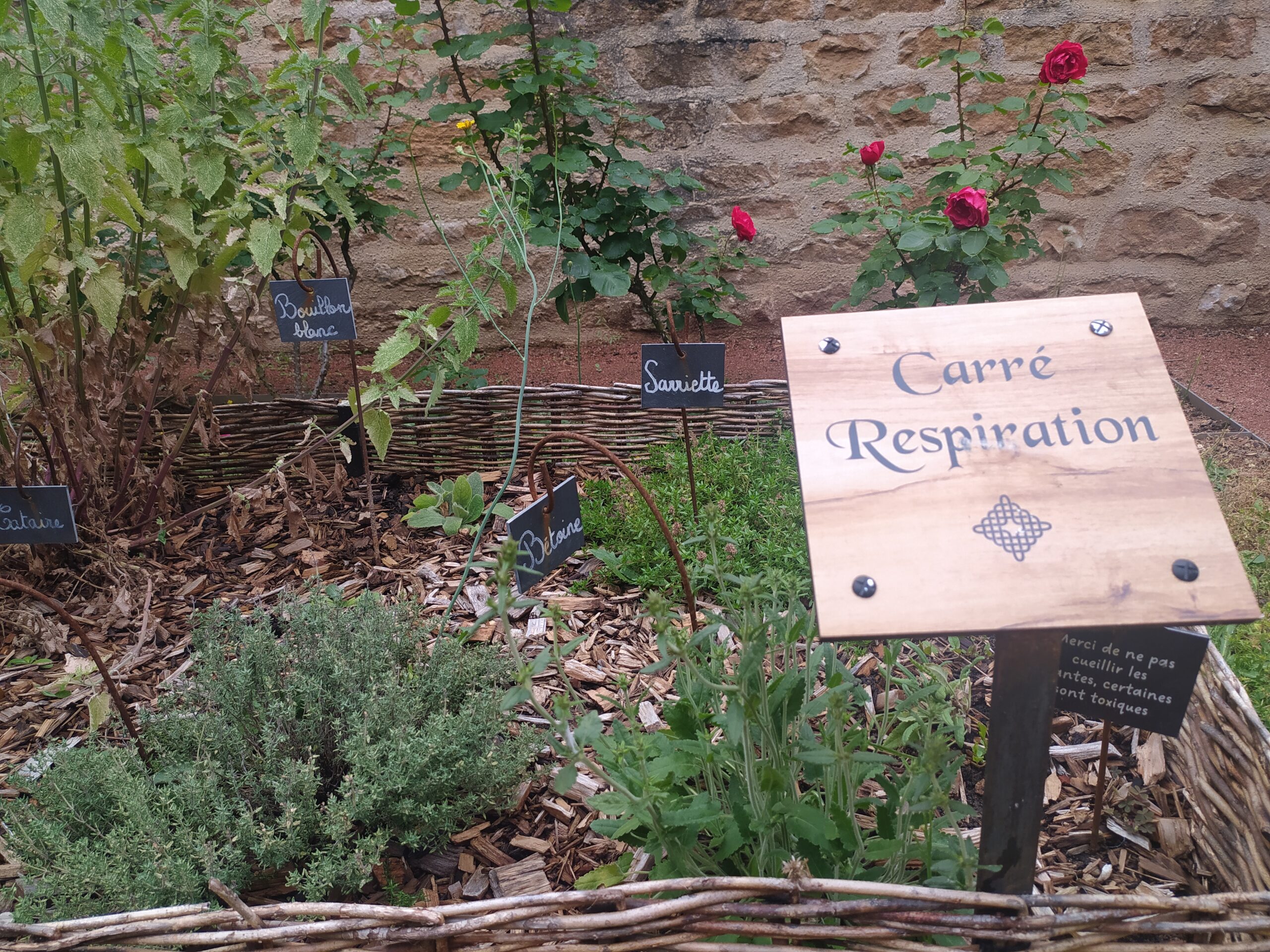Carré de plantes médiévales au Prieuré