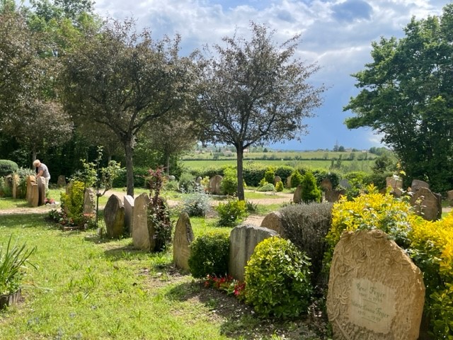 Cimetière vue stèle