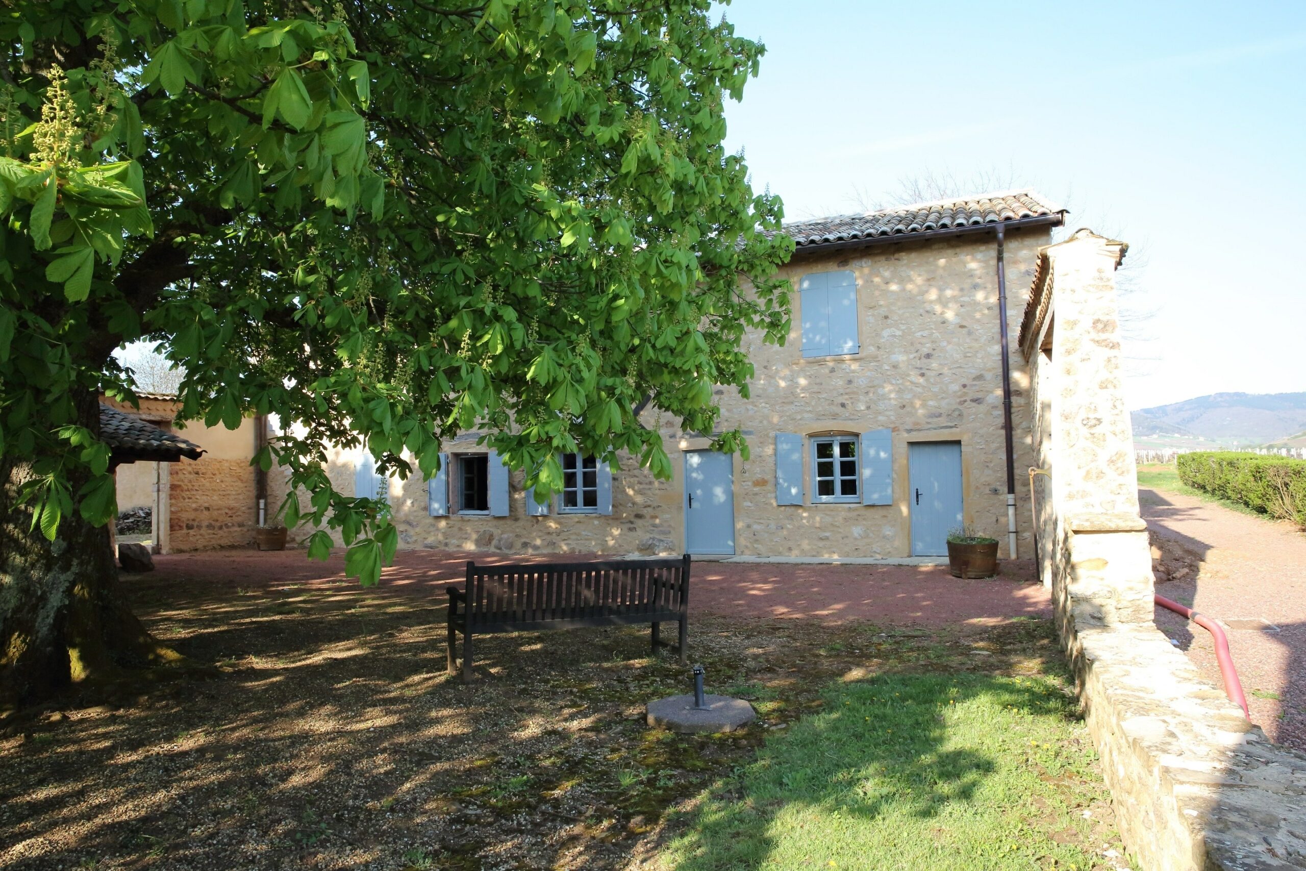 Maison Claude Bernad - Vue de l'extèrieur- entourée de vigne un d'un parc arboré