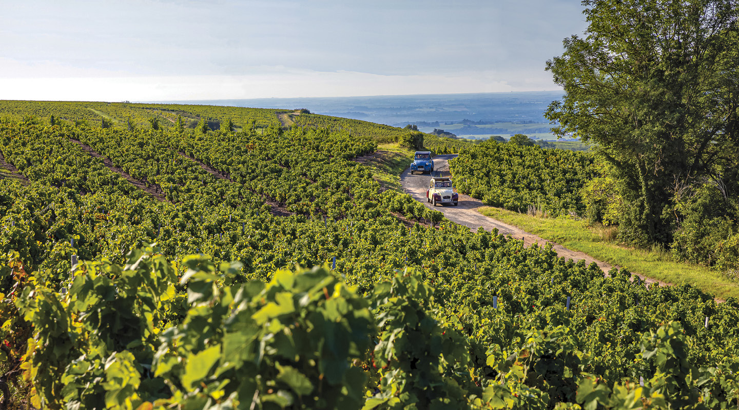 Balade dans les vignes du Beaujolais en 4L sous le soleil