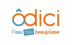 logo Odici : orange et bleu