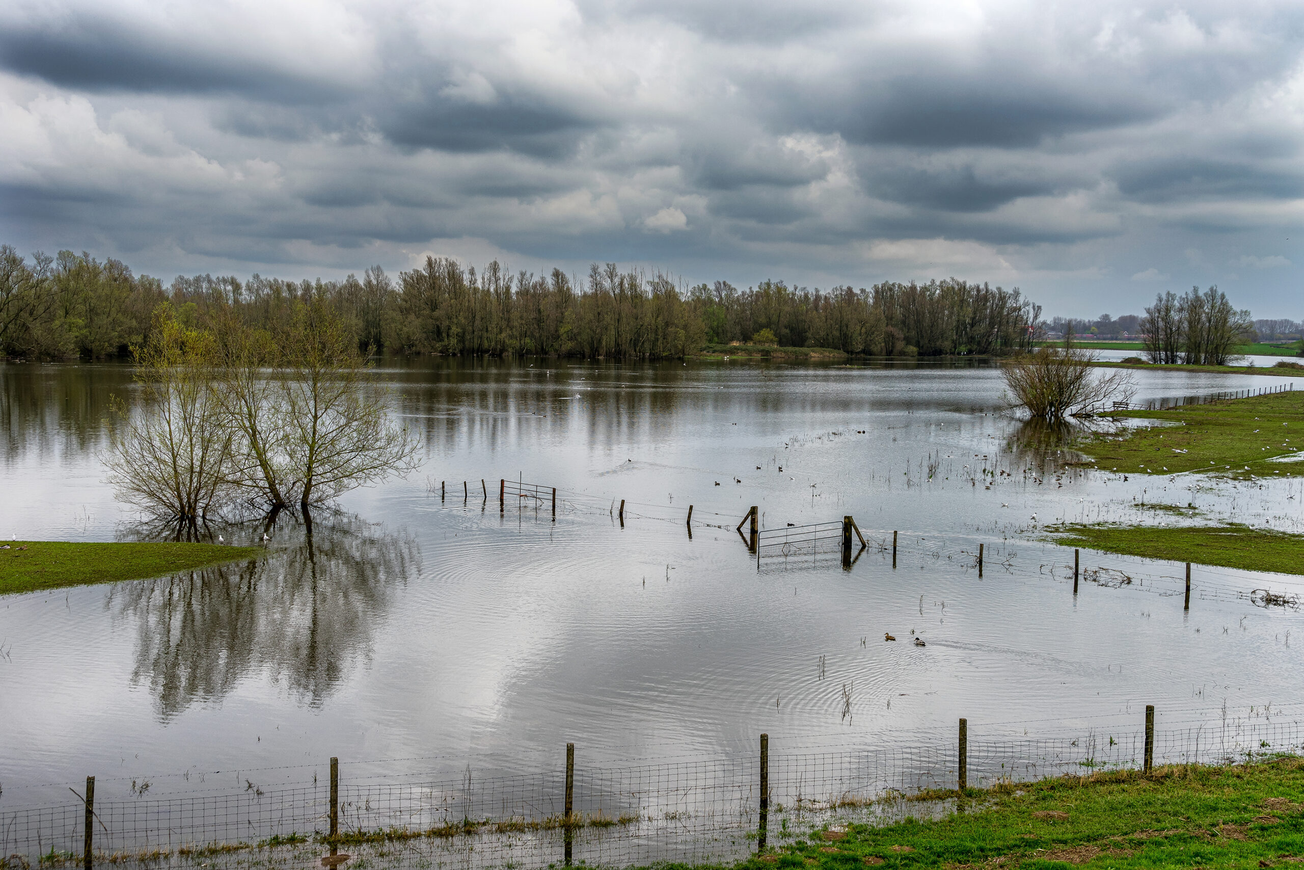Innondation de la saône