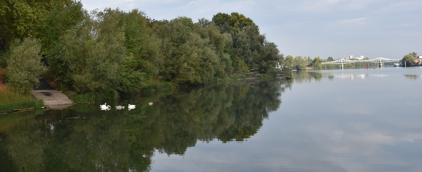 Bord de Saône