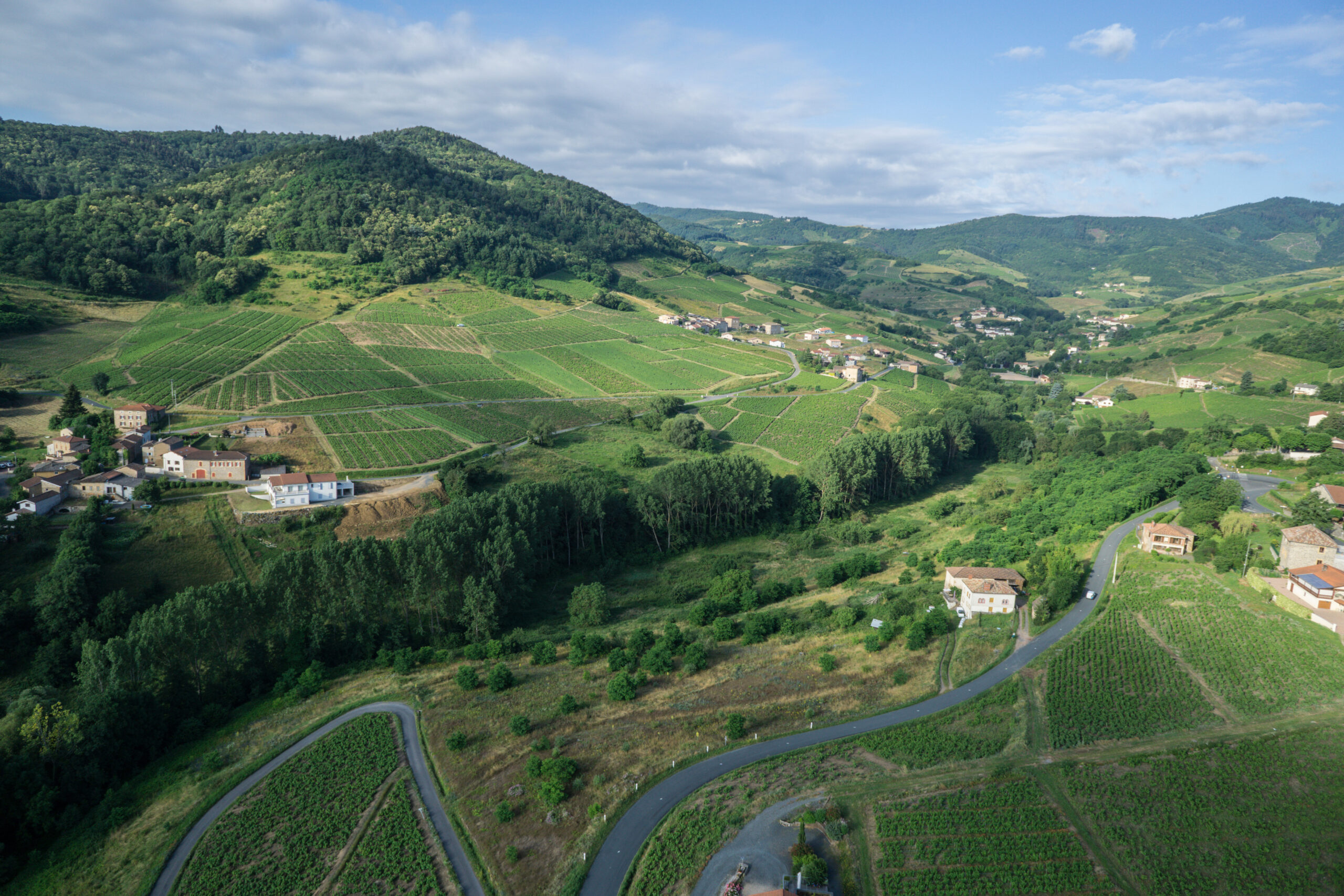 vallée - vignes du territoire de l'agglo