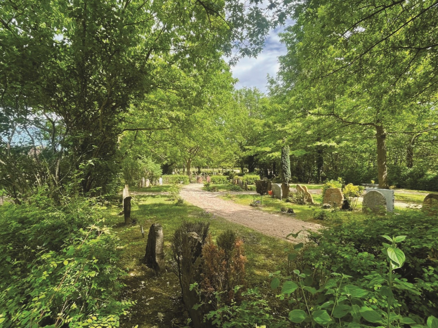 Photo cimetière paysager