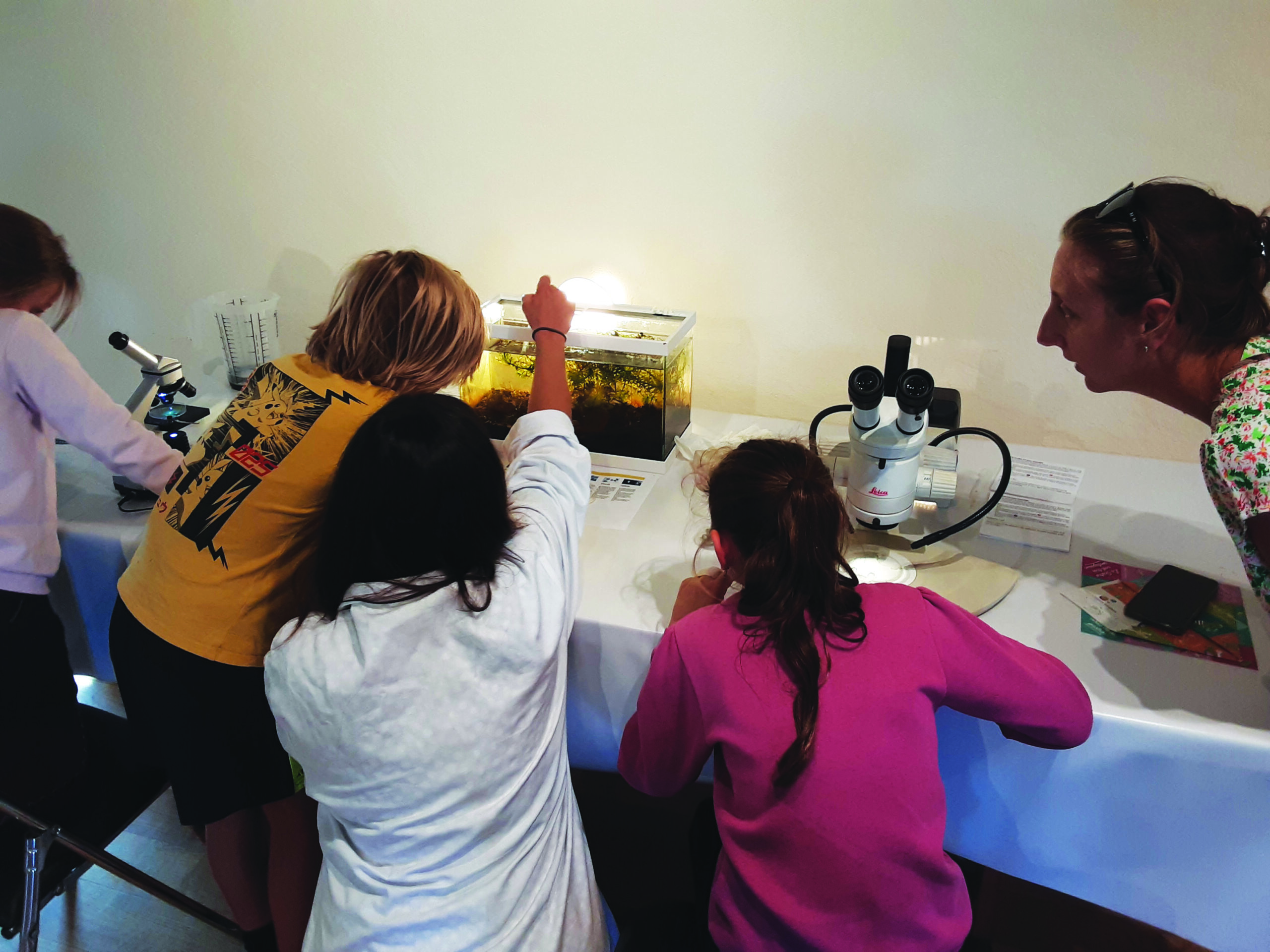 La Fête de la science au musée Claude Bernard