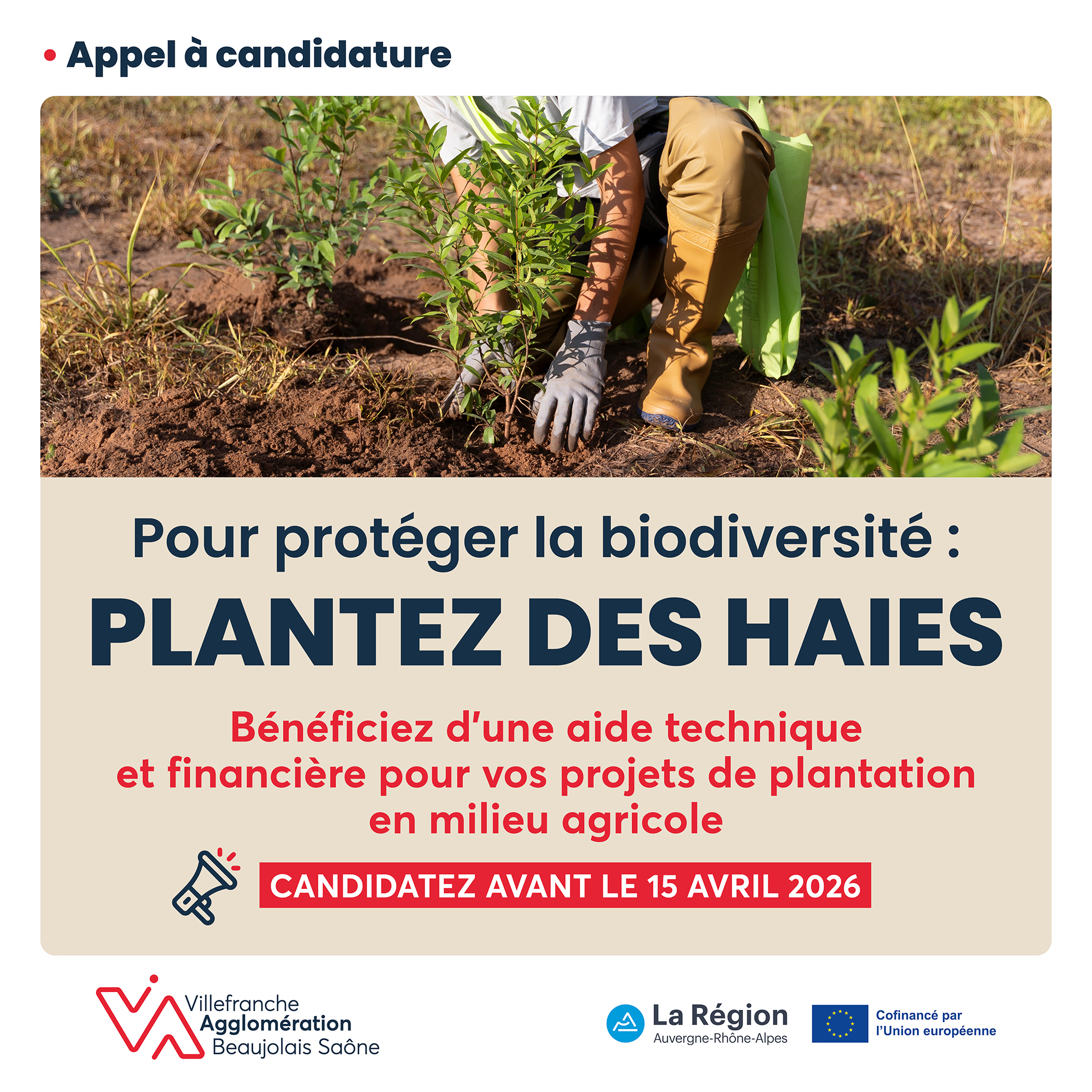 Biodiversité : plantez des haies !