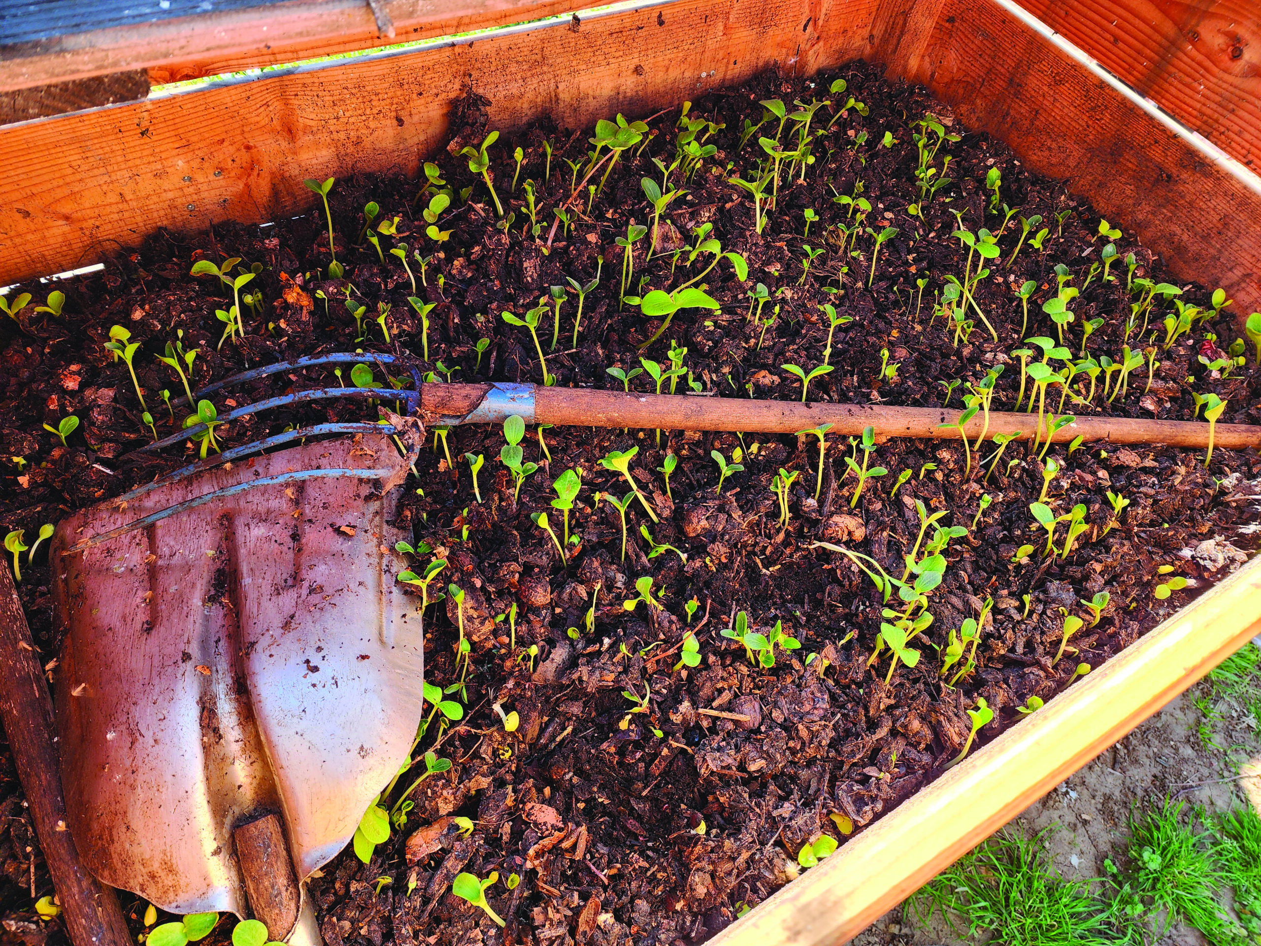 Image de l'événement