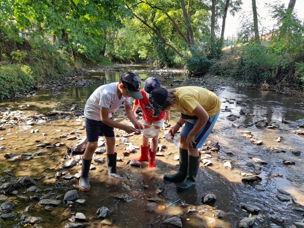 enfants qui découvrent des rivières