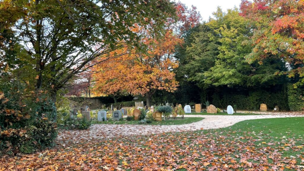 cimetière paysager de Gleizé aux couleurs de l'automne.