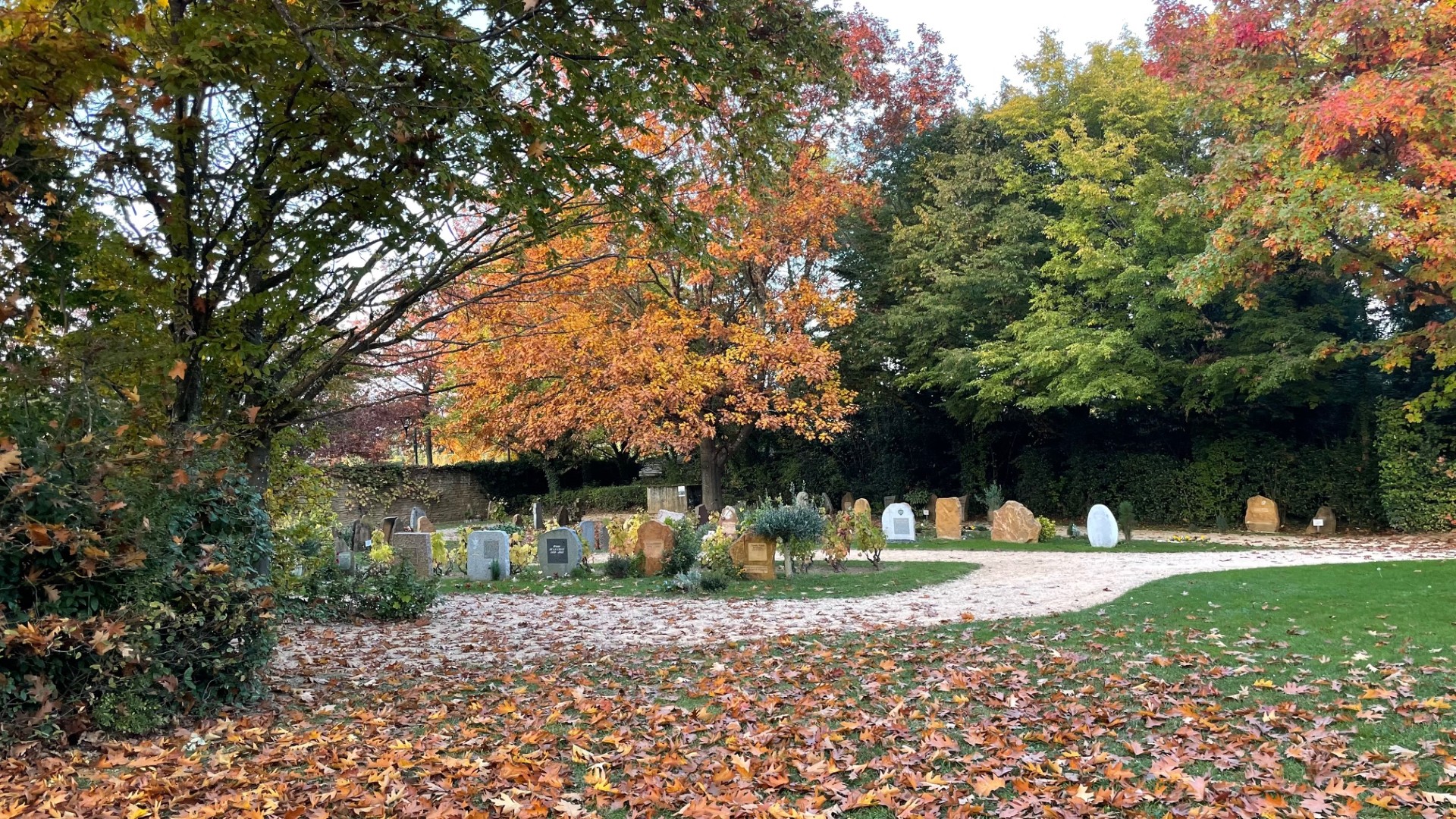 Toussaint : dépôt de fleurs au cimetières paysager